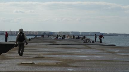 DSC01007.jpg