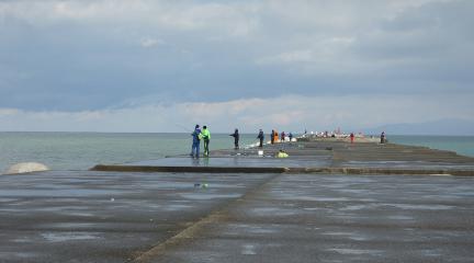 DSC01013.jpg