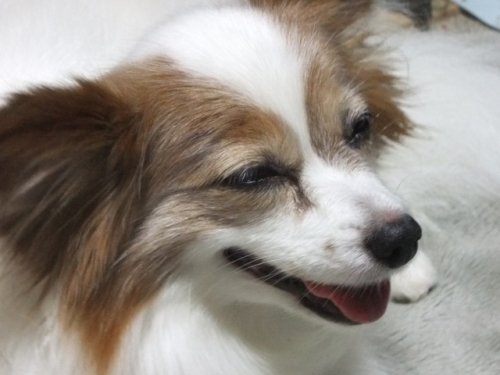 DSCF6066.jpg
