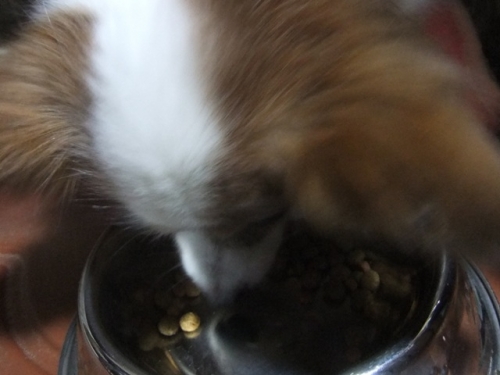 DSCF6081.jpg