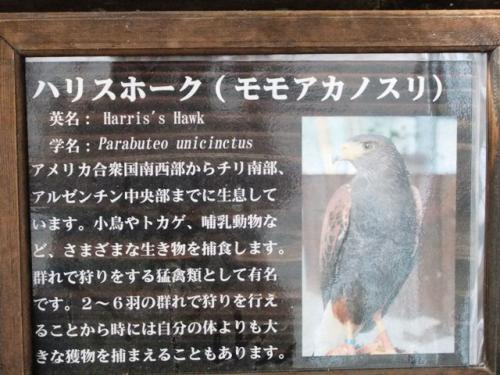DSCF6218.jpg