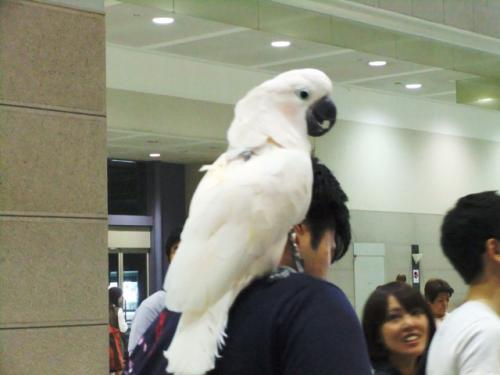 DSCF6650.jpg