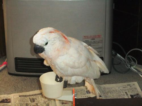 DSCF7509.jpg