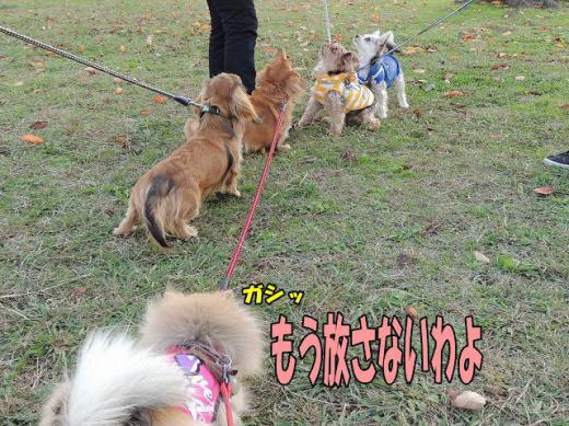 s-D121120SCN0124.jpg