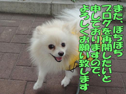 s-D121128SCN0451.jpg