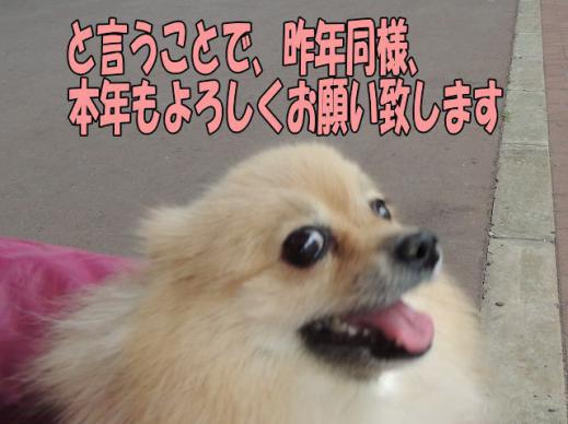 s-D121128SCN0453.jpg