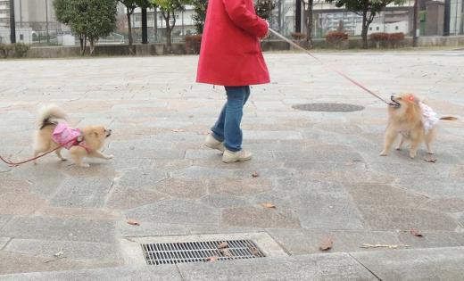s-D121130SCN0506.jpg