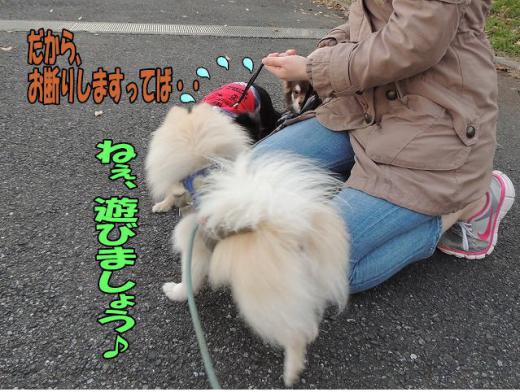 s-D121205SCN0744.jpg