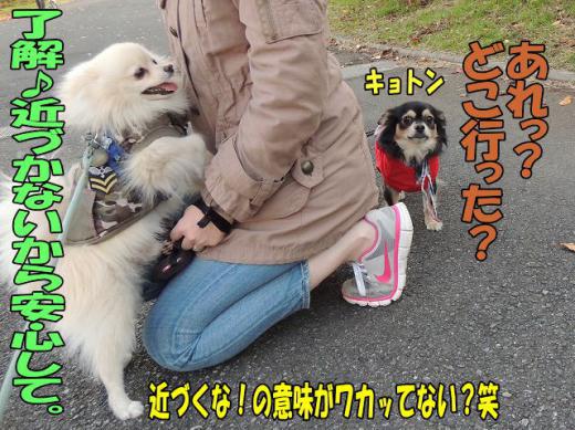s-D121205SCN0753.jpg