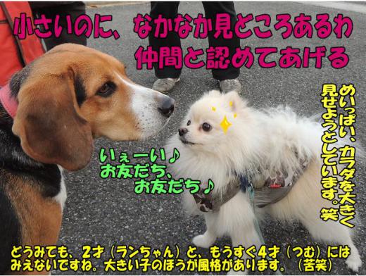 s-D121205SCN0759.jpg
