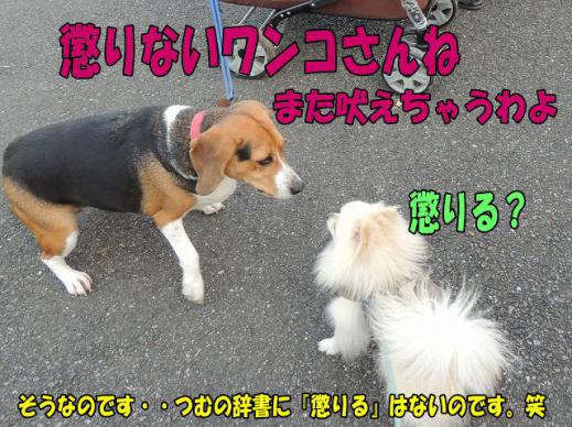 s-D121205SCN0760.jpg