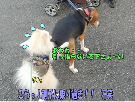 s-D121205SCN0761.jpg