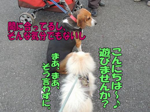 s-D121205SCN0762.jpg