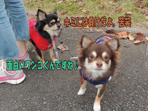 s-D121205SCN0764.jpg