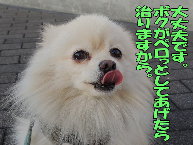 s-D121220SCN1205.jpg