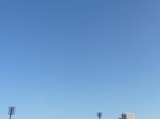 s-P1301151150387.jpg