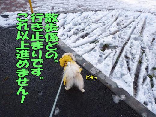 s-P1301151150401.jpg