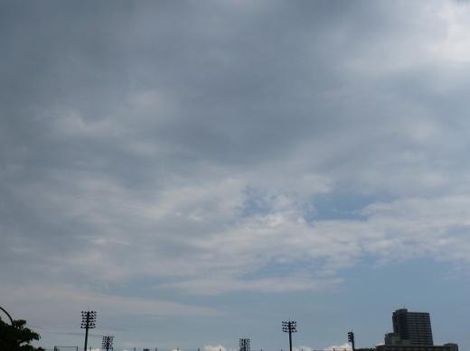 st-P1205281110012.jpg