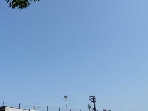 st-P1205291110036.jpg