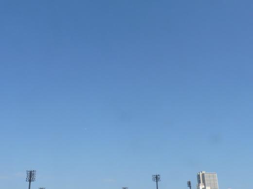 st-P1207091110596.jpg