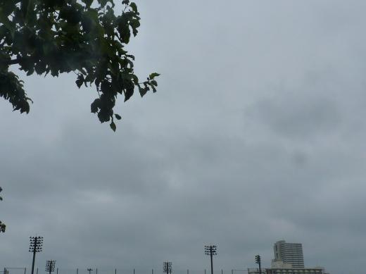 st-P1207201110766.jpg