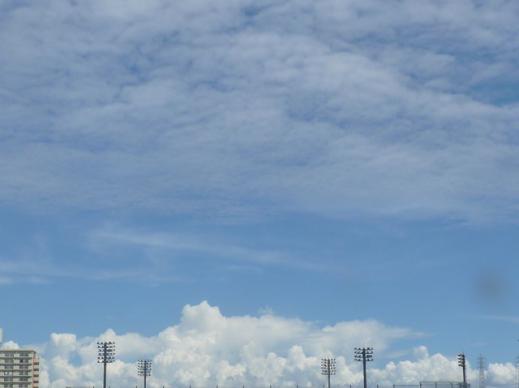 st-P1208151120221.jpg