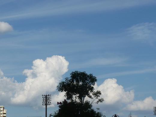 st-P1208261120474.jpg