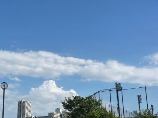 st-P1208271120479.jpg