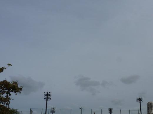 st-P1209271130064.jpg