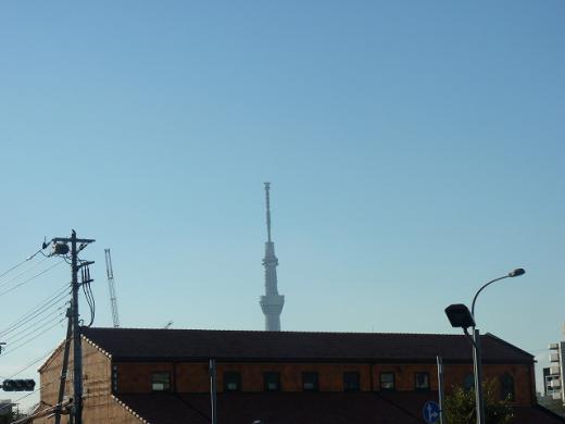 st-P1210011130187.jpg