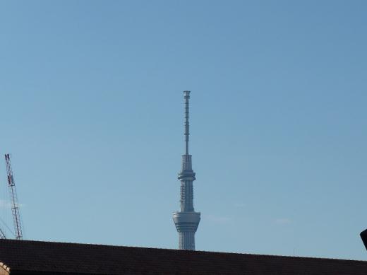 st-P1210291140122.jpg