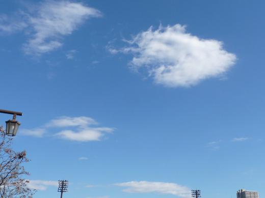 st-P1211021140335.jpg