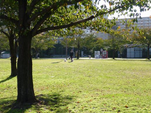st-P1211091140551.jpg