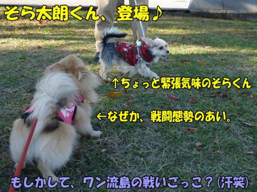 st2-P1211101140607.jpg