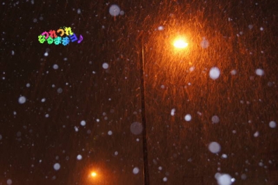 雪