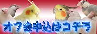 申し込みフォームへ