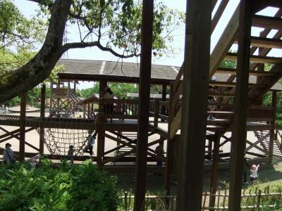 DSCF3943.jpg