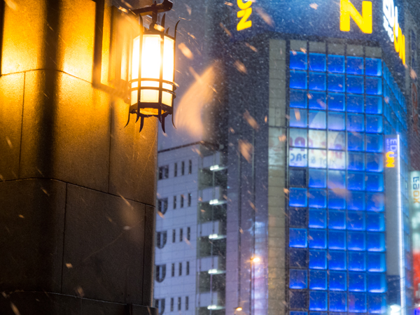 20130114_snow002s.jpg