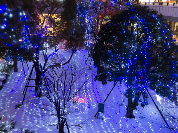 20130114_snow009s.jpg