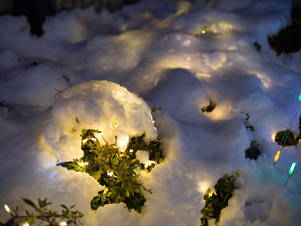 20130114_snow010s.jpg
