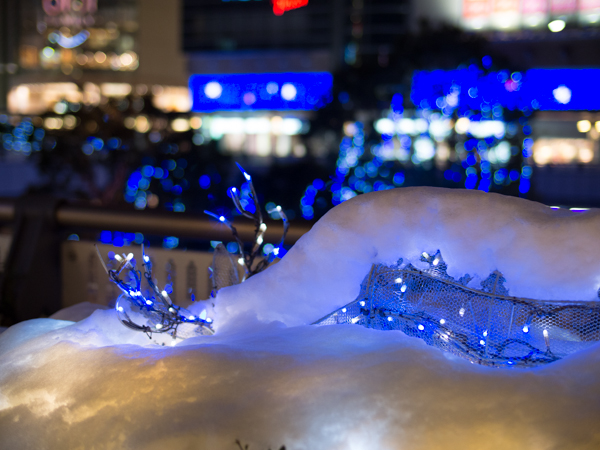 20130114_snow011s.jpg