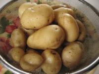 IMG_1041_20120713104802.jpg