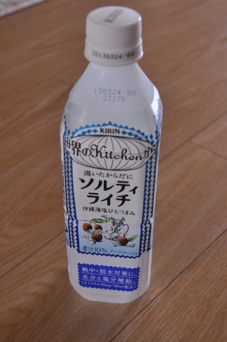 DSC_0738 (332x500)