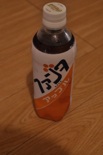 DSC_0740 (332x500)