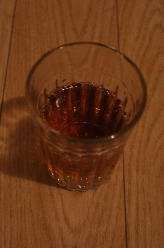 DSC_0742 (332x500)