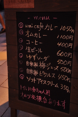 DSC_0860 (332x500)