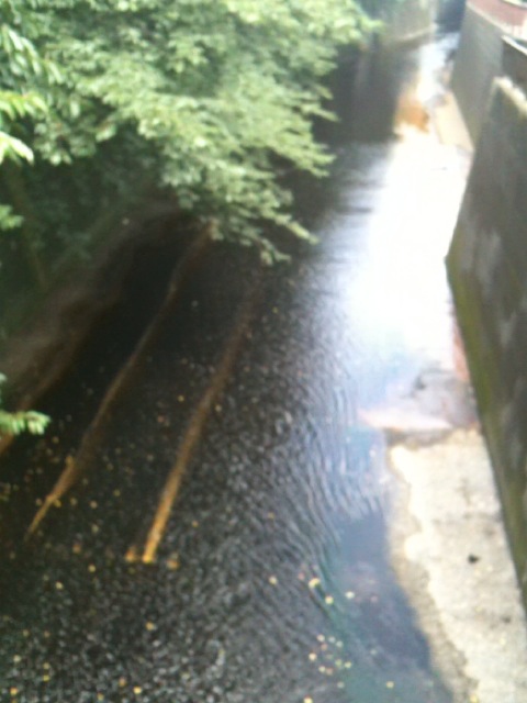 nakameguro6.jpg