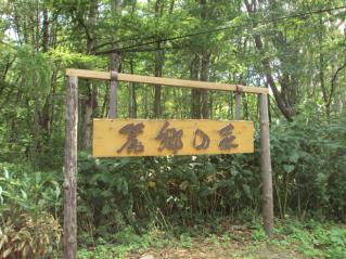 DSC02176.jpg