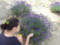 DSC02201_20120803082641.jpg