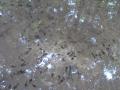 DSC02209_20120803073625.jpg
